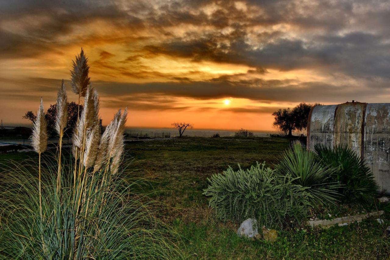 Agriturismo La Guarda Picedo المظهر الخارجي الصورة