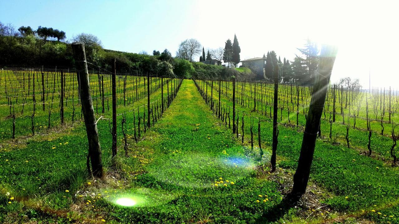 Agriturismo La Guarda Picedo المظهر الخارجي الصورة
