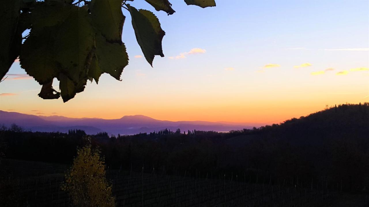 Agriturismo La Guarda Picedo المظهر الخارجي الصورة