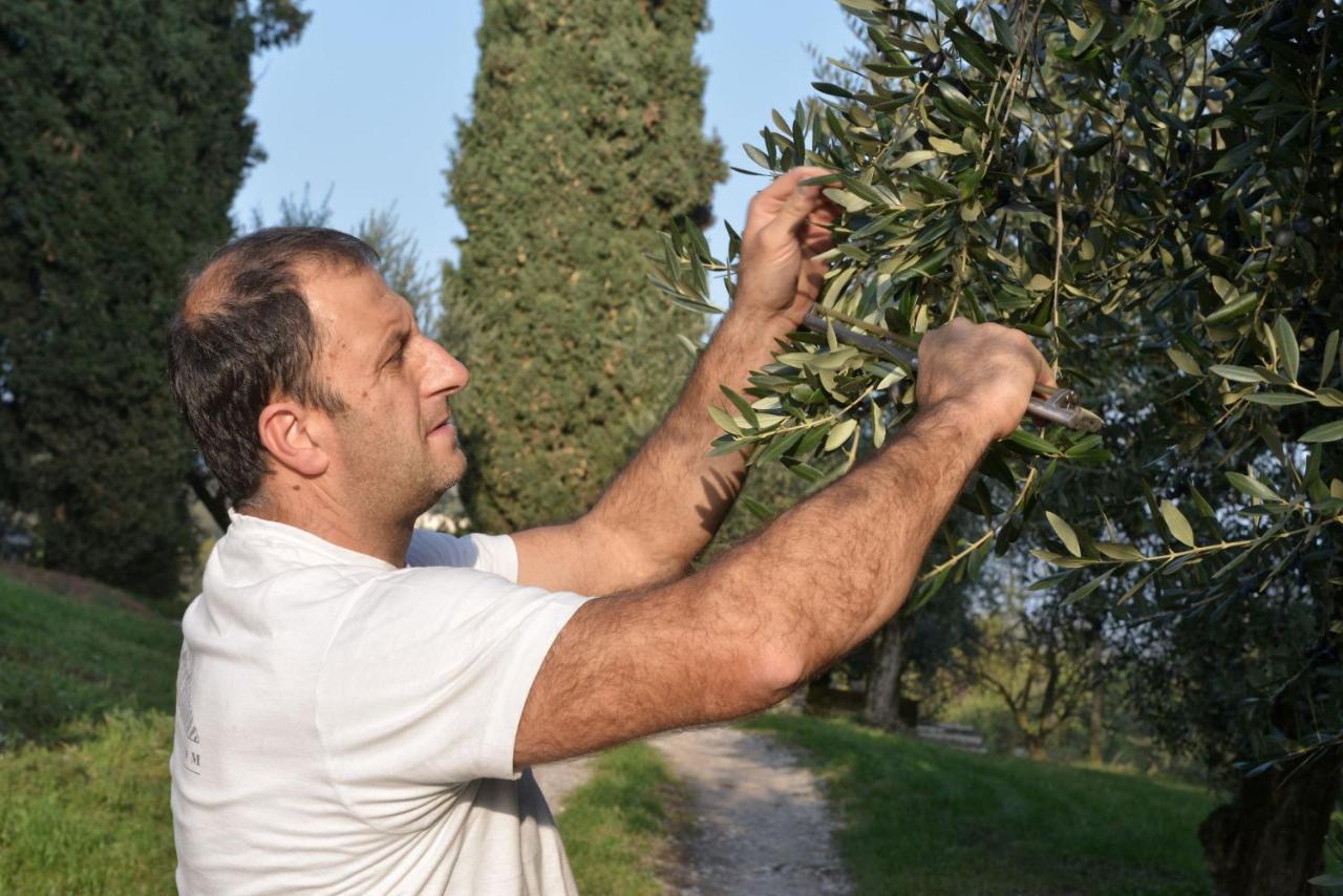 Agriturismo La Guarda Picedo المظهر الخارجي الصورة