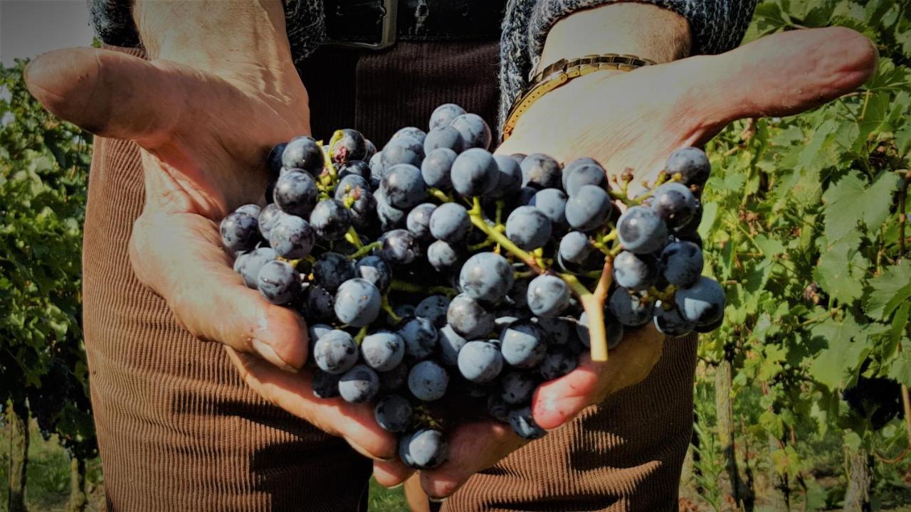 Agriturismo La Guarda Picedo المظهر الخارجي الصورة