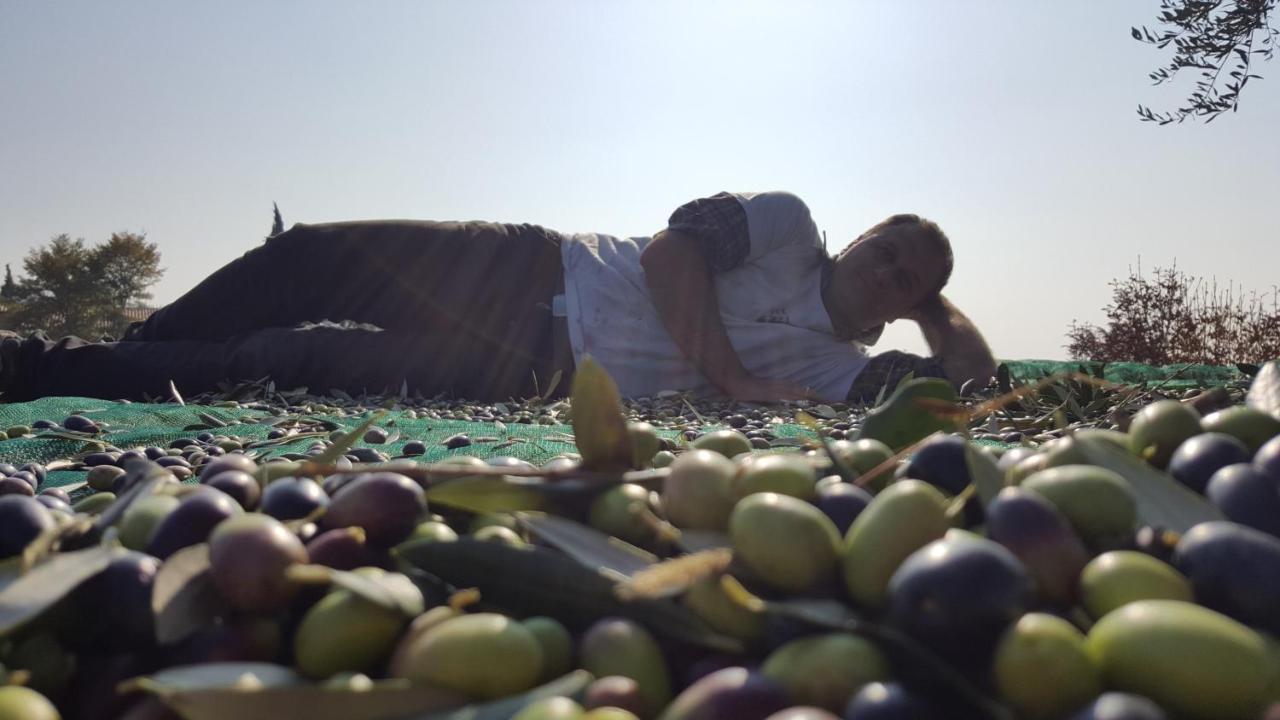 Agriturismo La Guarda Picedo المظهر الخارجي الصورة