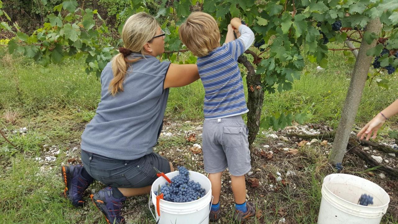 Agriturismo La Guarda Picedo المظهر الخارجي الصورة