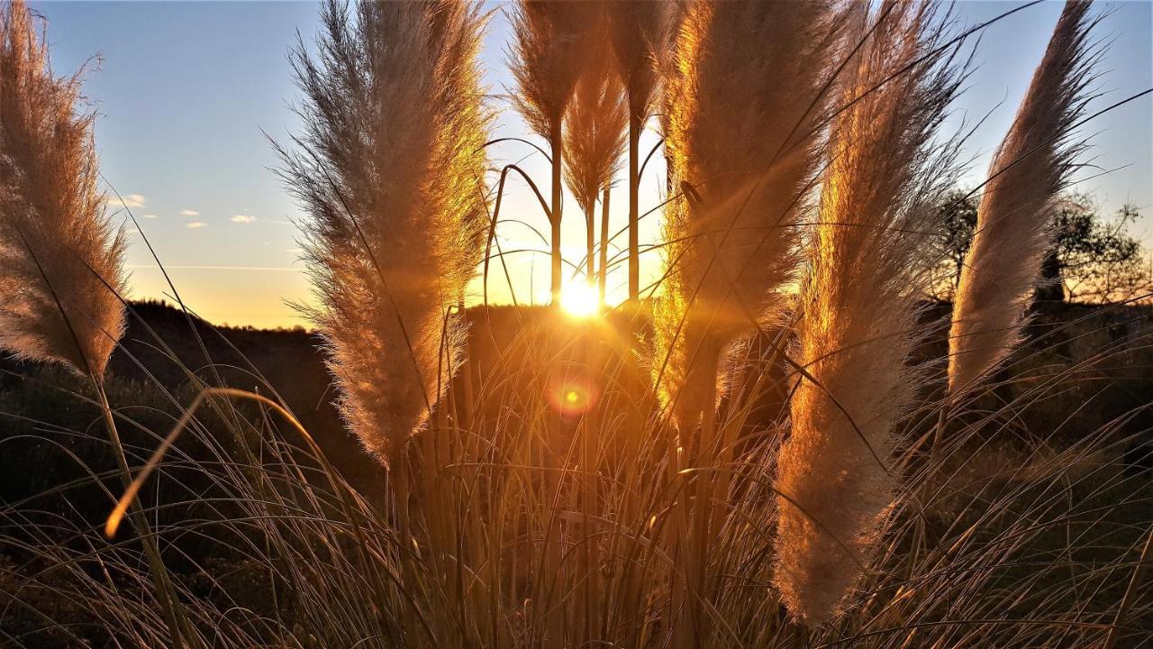 Agriturismo La Guarda Picedo المظهر الخارجي الصورة