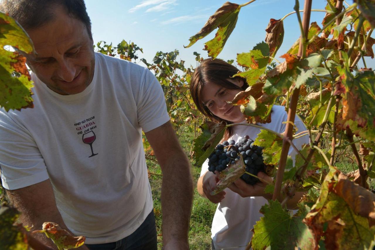 Agriturismo La Guarda Picedo المظهر الخارجي الصورة
