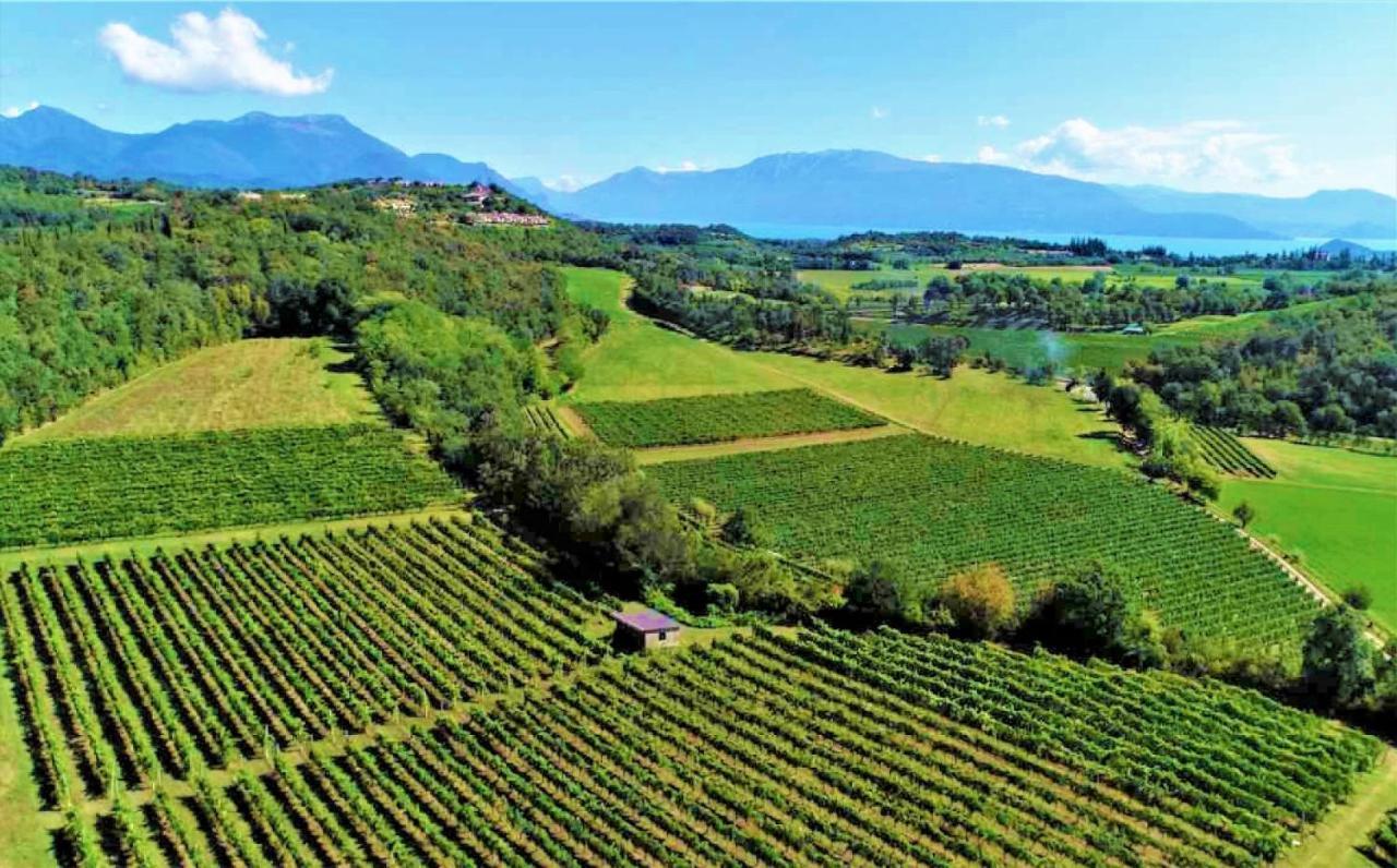 Agriturismo La Guarda Picedo المظهر الخارجي الصورة